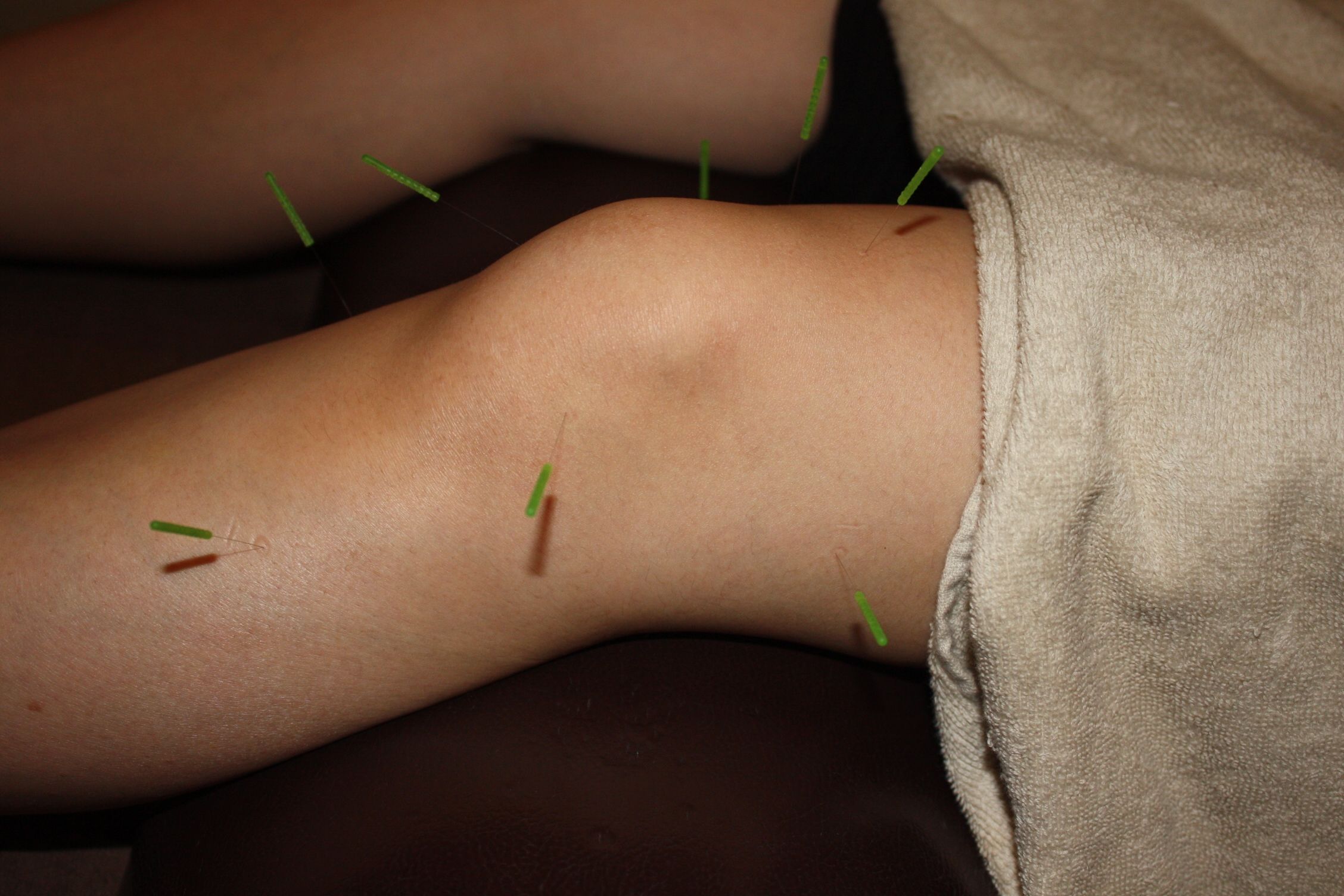 IMG_2497.JPG のコピー